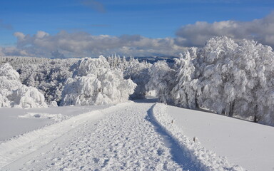 Winter im Schwarzwald