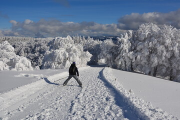 Winter im Schwarzwald