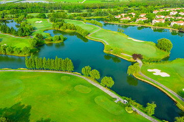 Aerial view of green grass and tree.