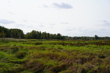 Naturschutzgebiet Aalbeek-Niederung