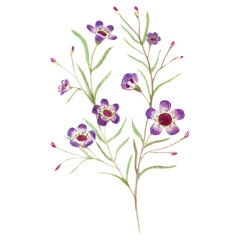 branch with watercolor flowers and leaves. Stylized ornamental plant