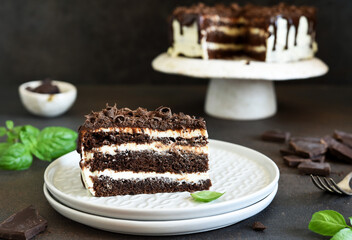 Slice of chocolate cake. Chocolate truffle cake with cream cheese on a dark background.