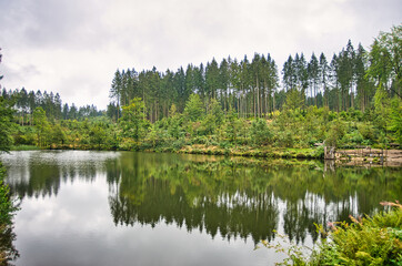 Liebesbankweg in the Harz Mountains in Hahnenklee