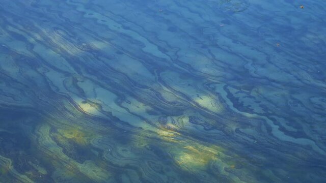 beautiful striped rocky bottom of the river under clear water in shallow water