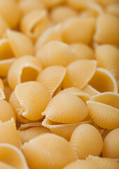 Fresh raw classic conchiglie pasta ias texture background.