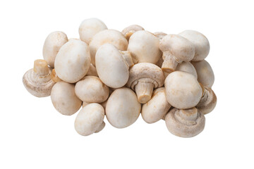 Champignon mushroom isolated on white background.