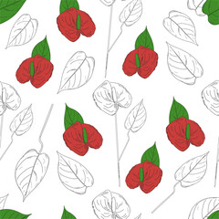 Seamless pattern with with tropical flowers. red Anthurium flowers and leaves on white background. Fashionable exotic background. Fashionable and elegant design for fabric, decor, interior. (Araceae)
