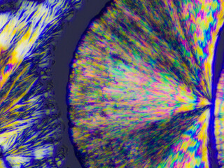 ビタミンCの結晶