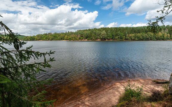 View of Saint-Agnan lake located in the protected area of the Parc naturel r&eacute;gional du Morvan, Ni&egrave;vre department, FRANCE.