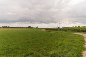 Fototapeta na wymiar An agricultural field in the Oude Ijsselstreek, The Netherlands