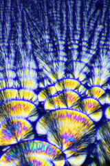 ビタミンCの結晶