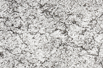 White paint asphalt cracks texture. Scratched lines background. White and black distressed grunge concrete wall pattern for graphic design. Grainy backdrop.