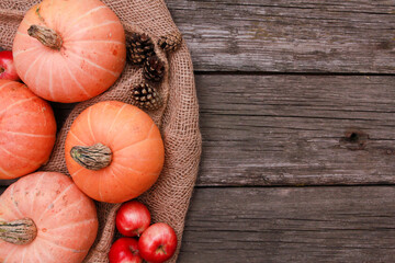Pumpkins, apples, spices, fir cones, burlap sackcloth on rough rustic wooden table background. Top...