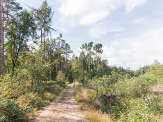 Fototapeta premium An industrial building in Zelhem, The Netherlands