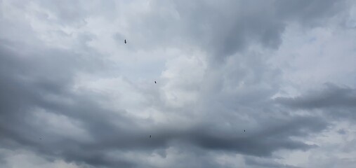 clouds in the sky