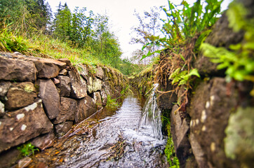 Liebesbankweg in the Harz Mountains in Hahnenklee