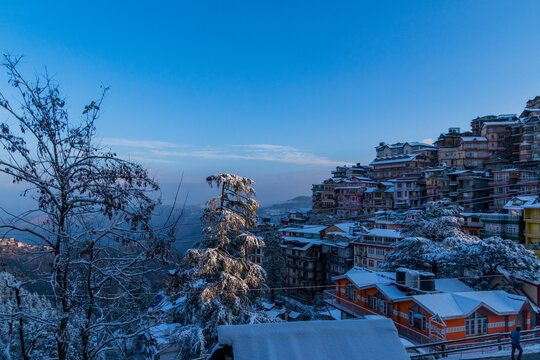 Various views of a snowy Shimla
