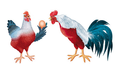 poulet, coq de France,couple , oiseau, ferme, poule, animal, volaille, isolé, blanc, coquelet, bleu blanc rouge, oiseau, agriculture, bec, bétail, domestique, nature, brun, peigne, poussin, rural, via