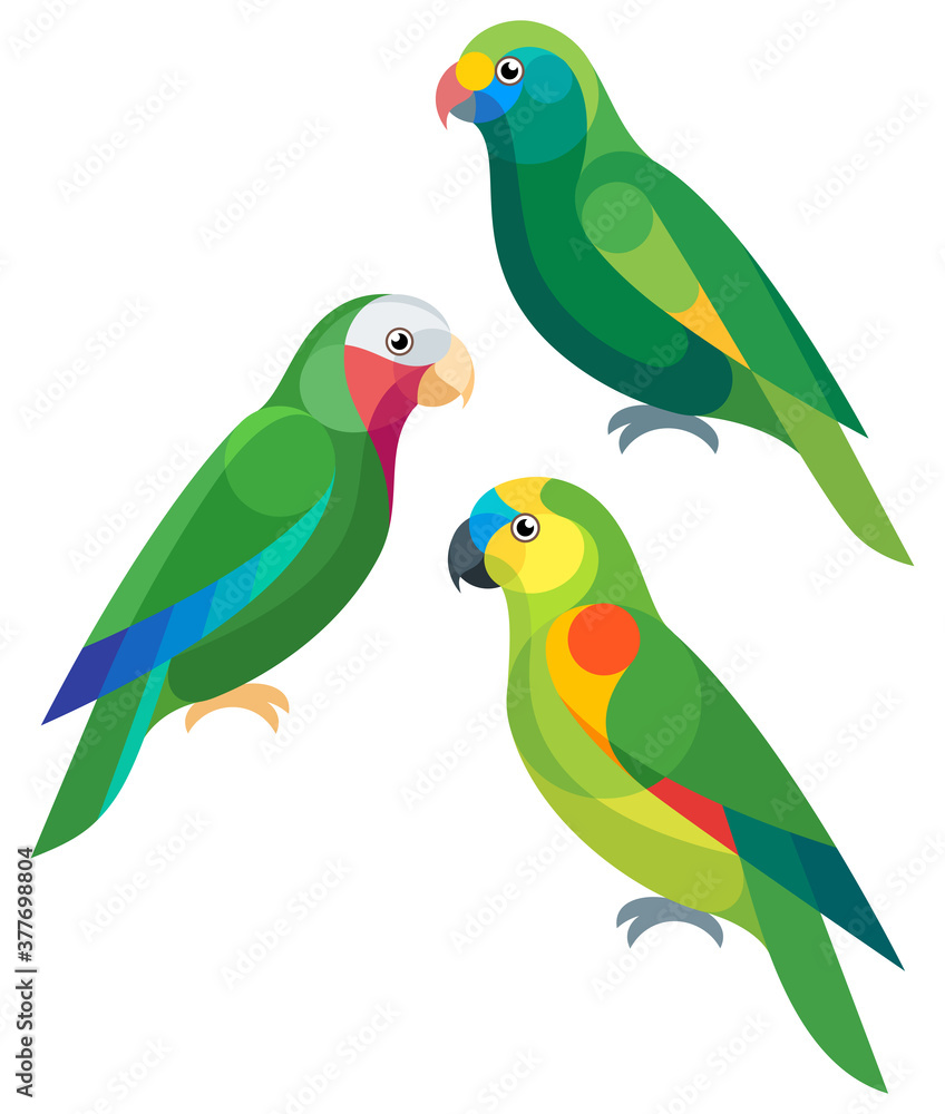 Sticker stylized amazon parrots - blue-cheeked amazon, blue-fronted amazon and cuban amazon