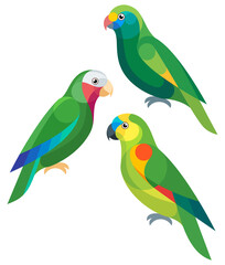 Stylized Amazon Parrots - Blue-cheeked Amazon,  Blue-fronted Amazon and Cuban Amazon