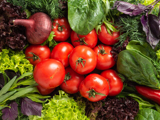 top view - various edible fresh herbs, greens of green and purple are laid out in a circle, in the center are red tomatoes, peppers and burgundy onions