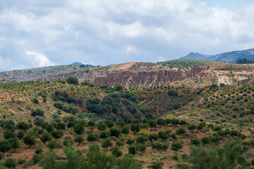 Fototapeta na wymiar Mountainous landscape with vegetation in southern Spain