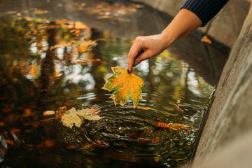 Autumn background, Fall its coming, Hello autumn, Things to come, Beautiful fall. Female Hand holds maple yellow leaf on the background water in the fountain
