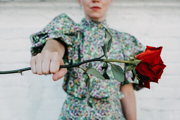 Flower power, signs of peace, stop violence, peaceful protest symbol. One red rose in female hand...