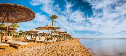 Foto op Plexiglas Relax under parasol on the beach of Red Sea, Egypt © Kotangens