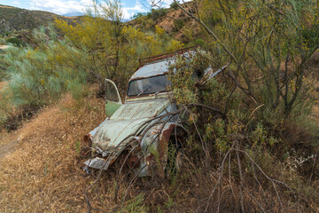 Obraz na płótnie Canvas old abandoned car among the vegetation