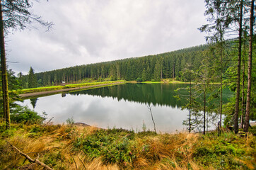 Liebesbankweg in the Harz Mountains in Hahnenklee