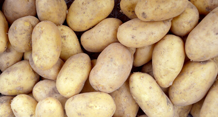 Potatoes. Texture vegetable white young potato. Fresh Organic Potato on Tray at the Farmer Market, Selective Focus. A pile of organic potatoes. 