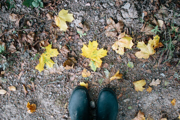 Obraz premium Woman in black rubber boots surrounded by yellow autumn leaves, foliage in Sweden, view from above
