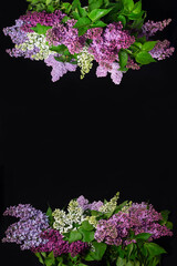 Decoration with bouquets of lilacs of different colors