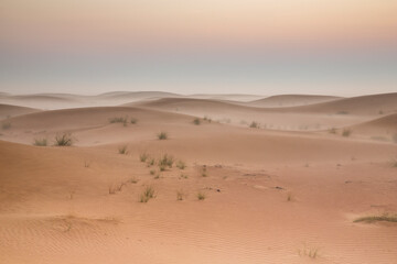 Fototapeta na wymiar sunrise in a misty desert