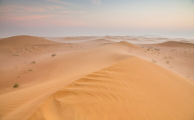 Fototapeta na wymiar sunrise in a misty desert