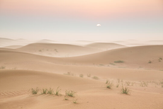 sunrise in a misty desert