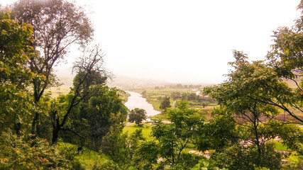 Morning view in the forest, Maharastra.