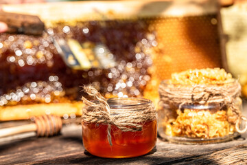 Honey dipper on the bee honeycomb background. Honey tidbit in glass jar and honeycombs wax. bee products by organic natural ingredients concept