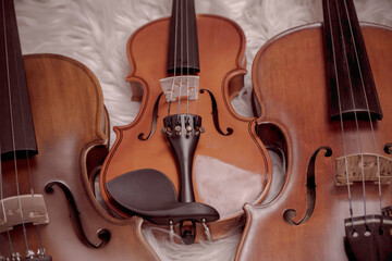 Fototapeta premium Three violins put on background,show detail and different size of acoustic instrument