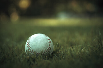 Baseball ball on the green grass