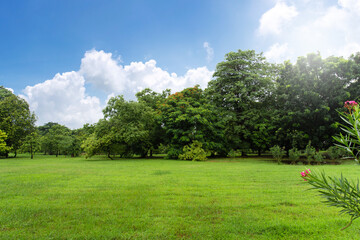 Scenic view of the park with green grass field after the rain in the city