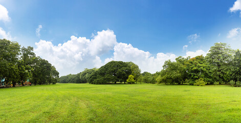 Scenic view of the park with green grass field in the city