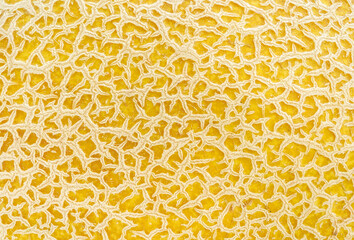Macro shot of yellow melon skin texture. Design element for vegetarian, raw food diet and healthy eating concepts. Full frame.