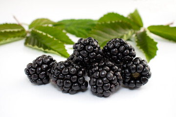 Ripe blackberries on a white background. Green leaves in the background.