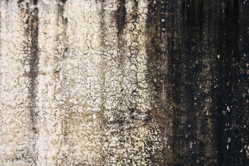 Artistic old Wall Texture For Background