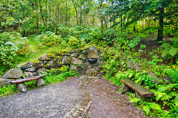 Liebesbankweg in the Harz Mountains in Hahnenklee