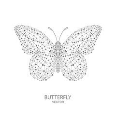 Butterfly on white background .Low poly animal illustration.Wireframe technology  connection structure. Vector illustration.