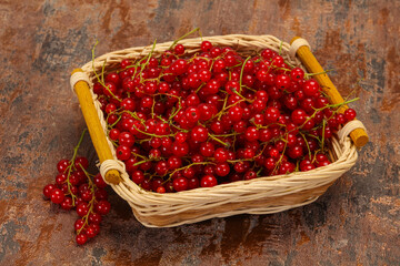 Sweet tasty fresh Red currant