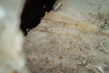 Solid cemented wall. Abstraction of the wall. Solid material. Rough surface